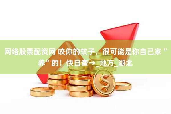 网络股票配资网 咬你的蚊子，很可能是你自己家“养”的！快自查→_地方_湖北